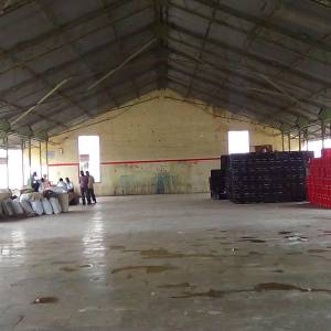 DSC00591_original_copy_1